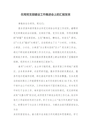 在局党支部建设工作推进会上的汇报发言.docx