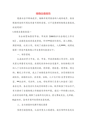 维稳自查报告.docx
