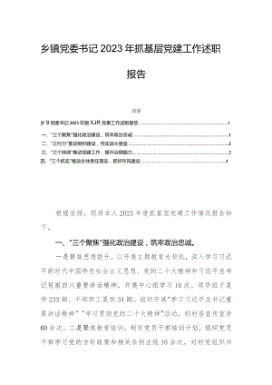 乡镇党委书记2023年抓基层党建工作述职报告.docx