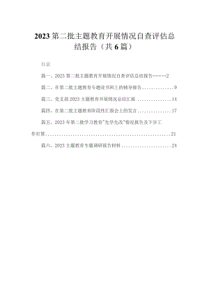 第二批专题开展情况自查评估总结报告(精选六篇合集).docx