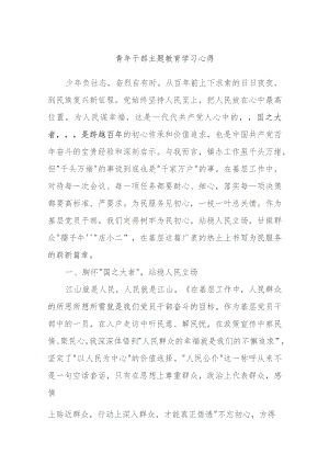 青年干部主题教育学习心得.docx