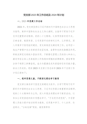 两篇：党支部2023年工作总结及2024年计划范文.docx