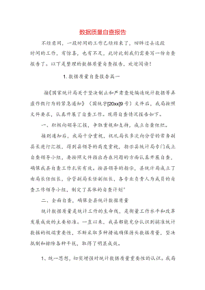 数据质量自查报告.docx