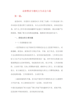 巡察整改专题民主生活会六篇.docx