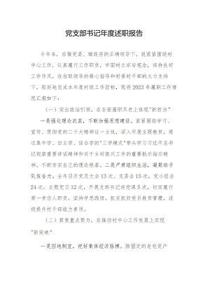党支部书记年度述职报告.docx