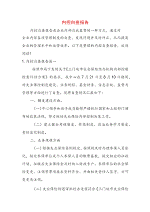 内控自查报告.docx