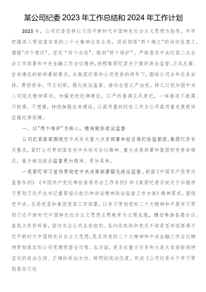 某公司纪委2023年工作总结和2024年工作计划.docx