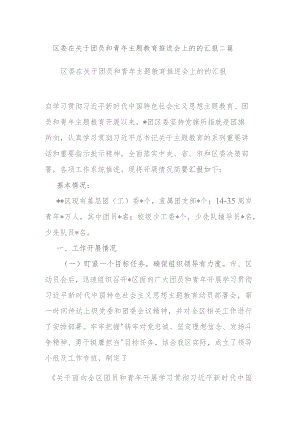 区委在关于团员和青年主题教育推进会上的的汇报二篇.docx