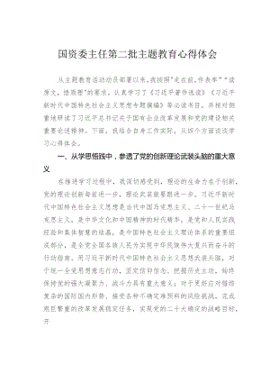 国资委主任第二批主题教育心得体会.docx