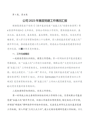共8篇党建工作自查总结报告含下步工作举措.docx