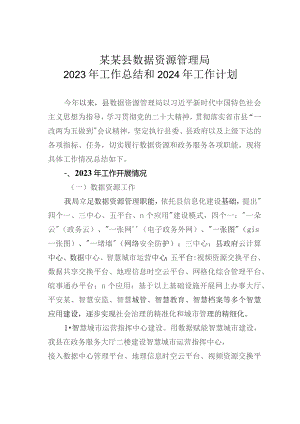 某某县数据资源管理局2023年工作总结和2024年工作计划.docx