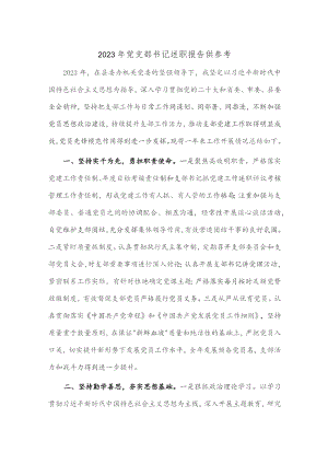 2023年党支部书记述职报告供参考.docx
