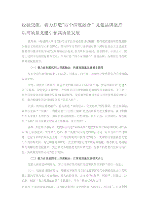 经验交流：着力打造“四个深度融合”党建品牌 坚持以高质量党建引领高质量发展.docx