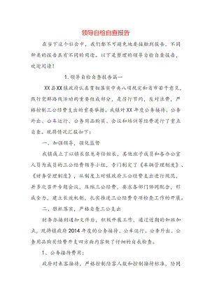 领导自检自查报告.docx