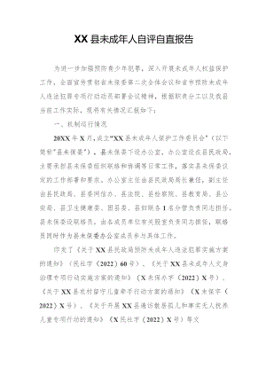 XX县未成年人自评自查报告.docx