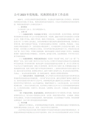 公司2023年度统战、民族团结进步工作总结.docx