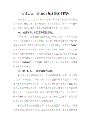 乡镇人大主席2023年述职述廉报告.docx