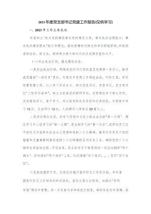 2023年度党支部书记党建工作报告.docx