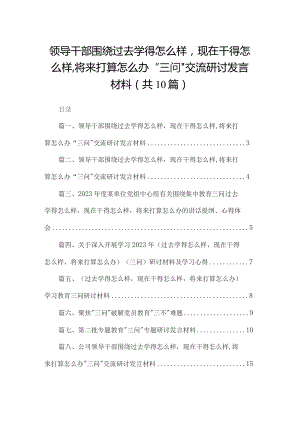 领导干部围绕过去学得怎么样现在干得怎么样,将来打算怎么办“三问”交流研讨发言材料10篇(最新精选).docx