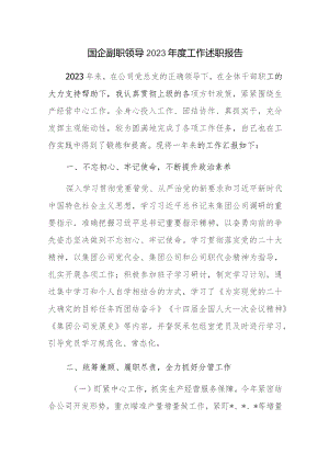 国企副职领导2023年度工作述职报告参考范文.docx