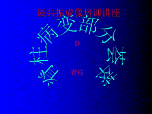 磁共振成像培训讲座+D+脊柱病变部分荟萃.ppt.ppt