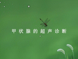 甲状腺的超声诊断.ppt