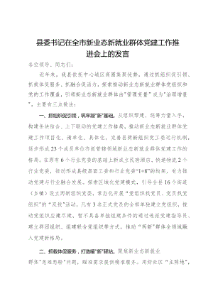 县委书记在全市新业态新就业群体党建工作推进会上的发言.docx