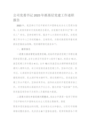 公司党委书记2023年抓基层党建工作述职报告 .docx