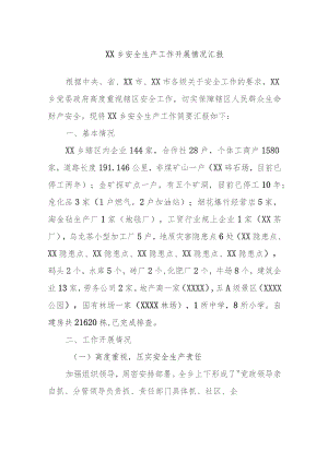 XX乡安全生产工作开展情况汇报.docx