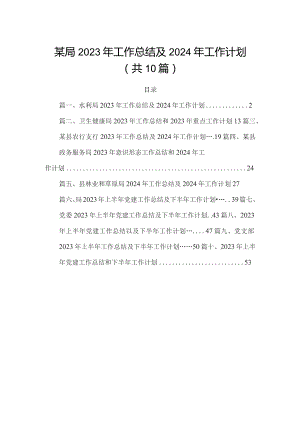 某局2023年工作总结及2024年工作计划（共10篇）.docx