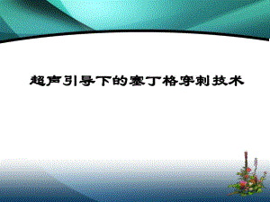 [优质文档]超声引导下的塞丁格穿刺技术.ppt