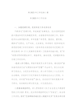 局2023年工作总结二篇.docx