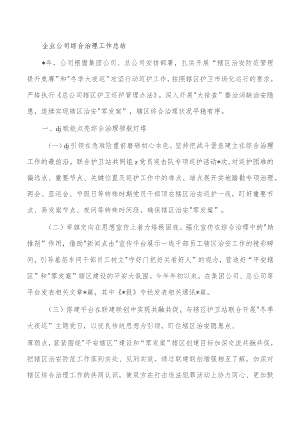 企业公司综合治理工作总结.docx