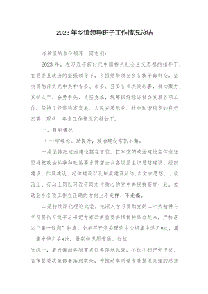 2023年乡镇领导班子工作情况总结.docx
