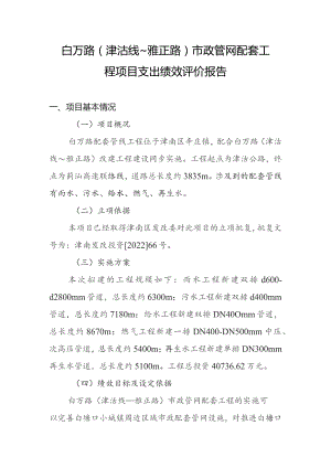 白万路津沽线～雅正路市政管网配套工程项目支出绩效评价报告.docx