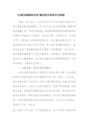 2024年“以案为鉴警钟长鸣”廉政警示教育学习心得感想领悟研讨发言.docx