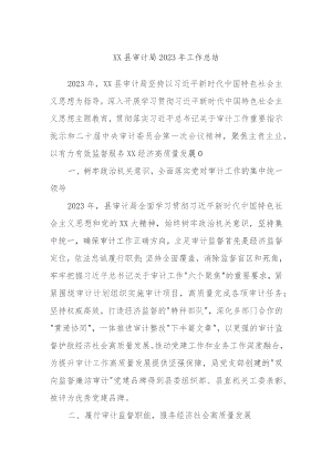 XX县审计局2023年工作总结.docx