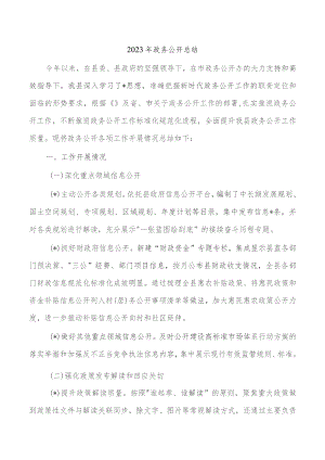 2023年政务公开总结.docx