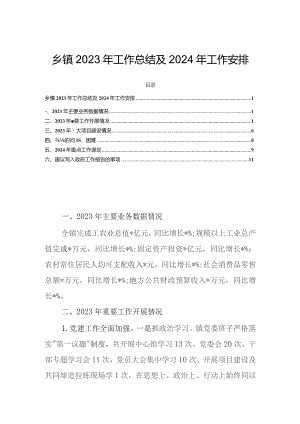 乡镇2023年工作总结及2024年工作安排.docx
