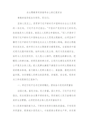 在主题教育巡回指导会上的汇报发言.docx