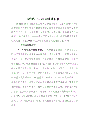 村党支部书记2023年抓党建述职报告.docx