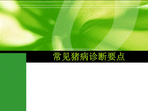常见猪病诊断要点.ppt