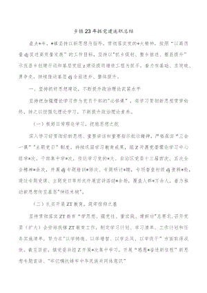 乡镇23年抓党建述职总结.docx