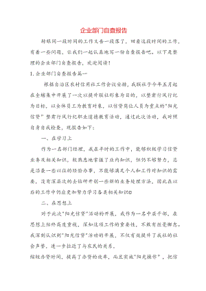 企业部门自查报告.docx