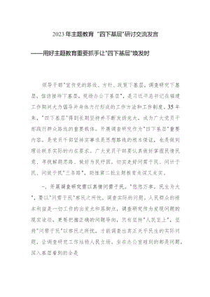 2023年主题教育“四下基层”研讨交流发言范文3篇.docx