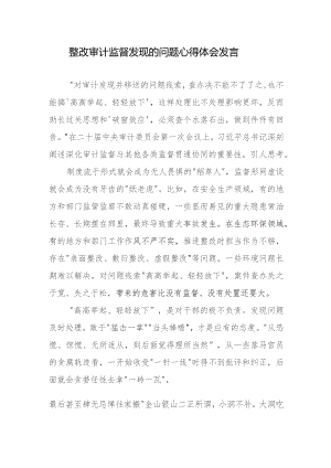 整改审计监督发现的问题心得体会发言.docx