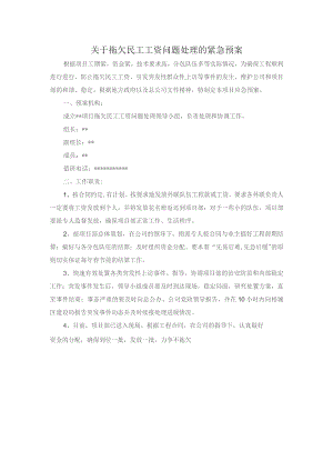关于拖欠民工工资问题处理的紧急预案.docx