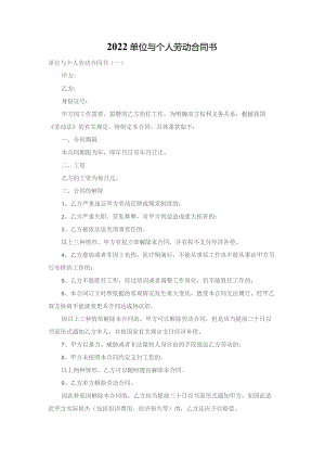 2022单位与个人劳动合同书.docx