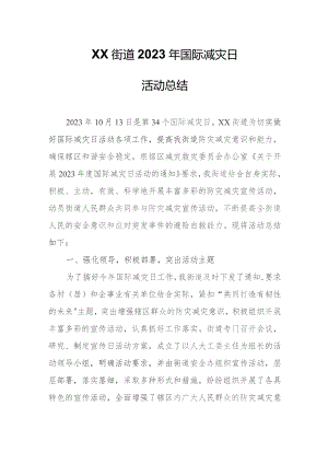 XX街道2023年国际减灾日活动总结.docx