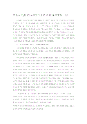 某公司纪委2023年工作总结和2024年工作计划.docx